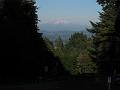 Portland 63